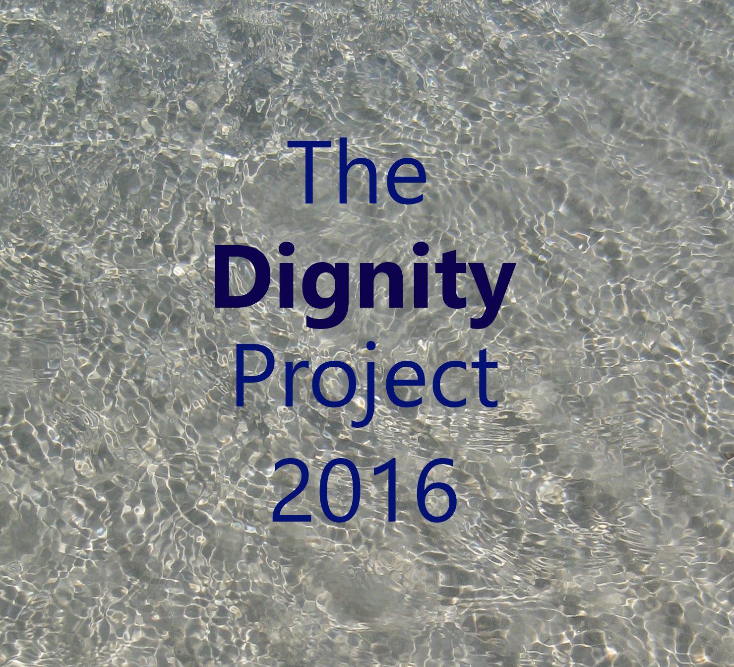 Artists Selected For Dignity Project The Cambodian NGO Committee On CEDAW